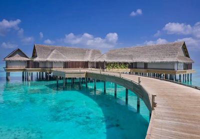 攜程上線近700條出境團隊游產品，熱點目的地分析與行業展望